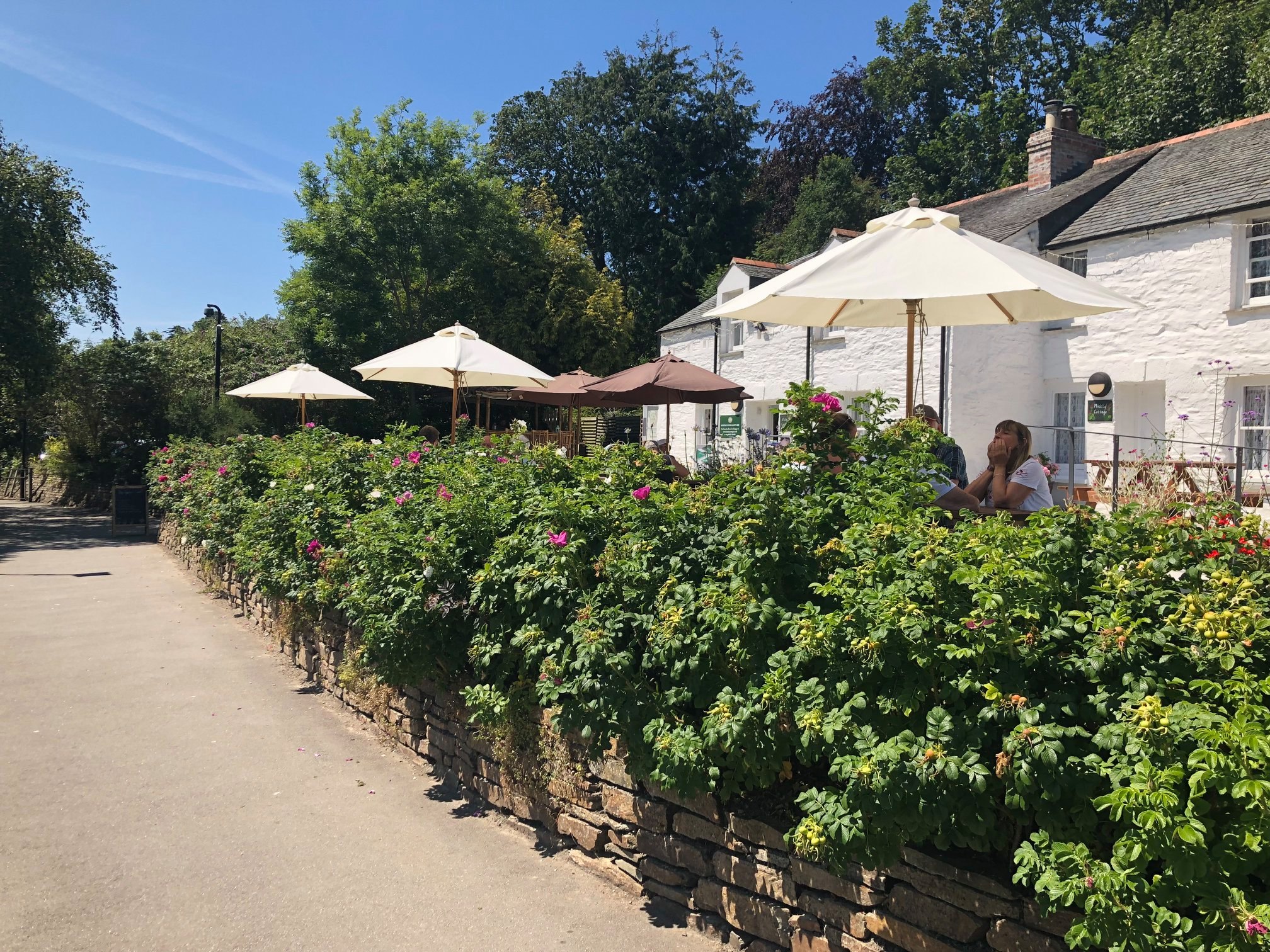 4th July Pop Up at The Garden, Trenance Road, Newquay Punk Thai